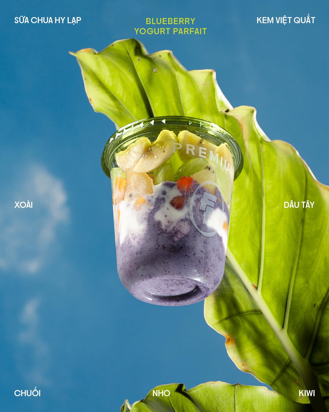 Blueberry Yogurt Parfait
