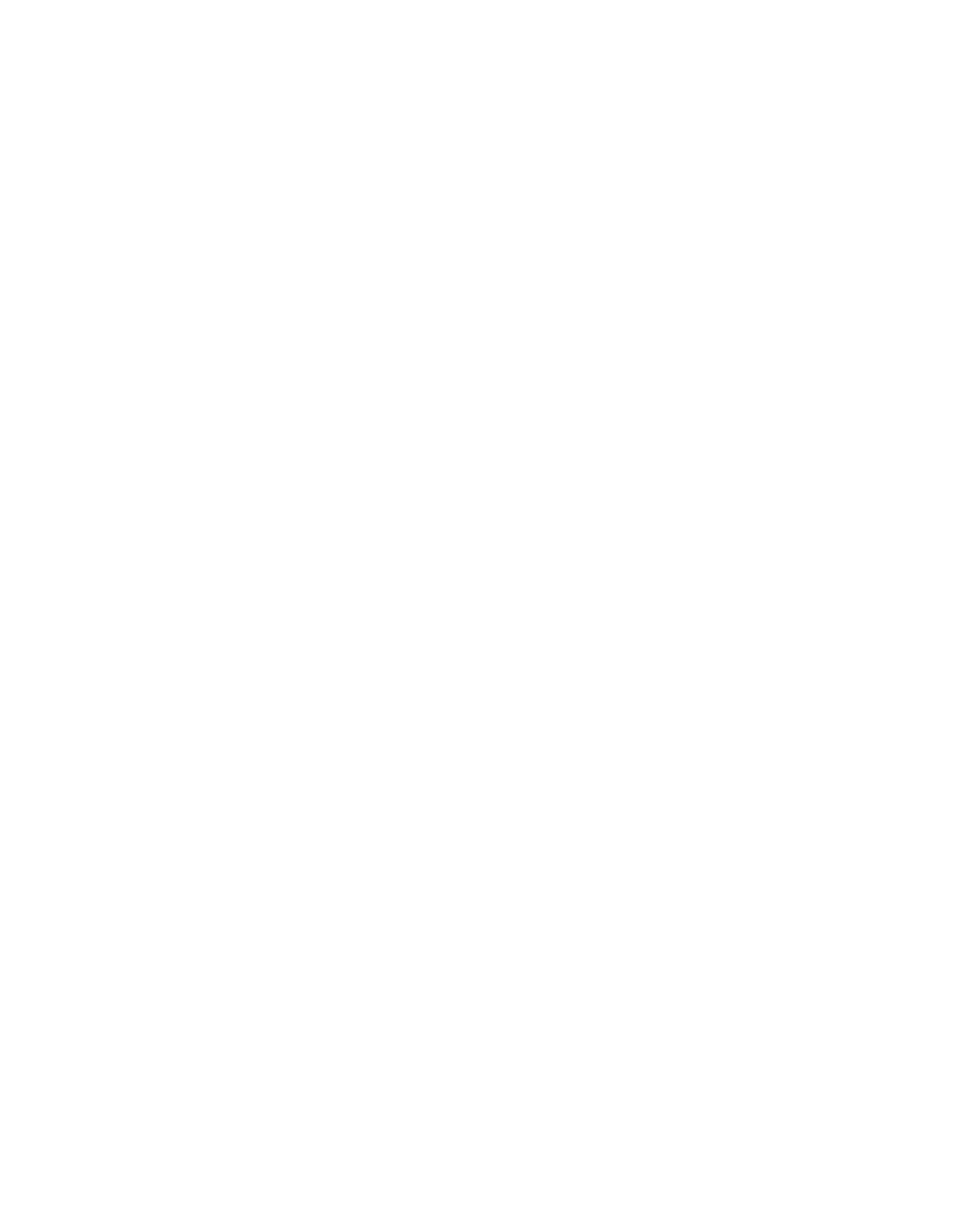 FF Fruit Bar