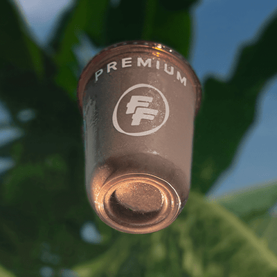 Kong